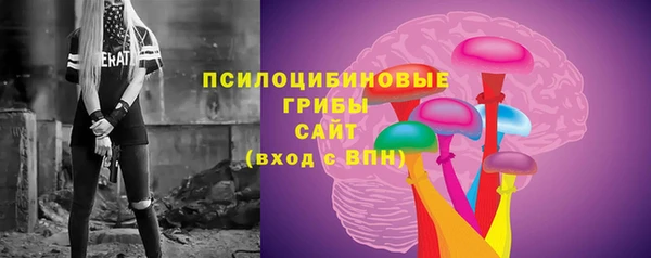 бошки Алексеевка