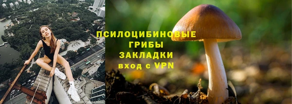 бошки Алексеевка