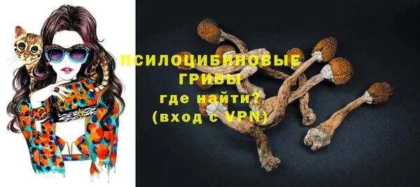 ECSTASY Алексин