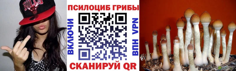 Галлюциногенные грибы MAGIC MUSHROOMS Тобольск